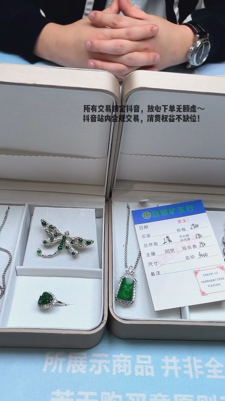 颈饰合金翡翠缘****好净货发两套