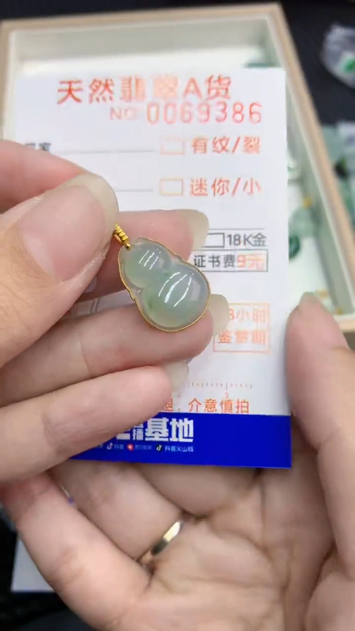 【闪购商品】翡翠颈饰18K金镶嵌            8