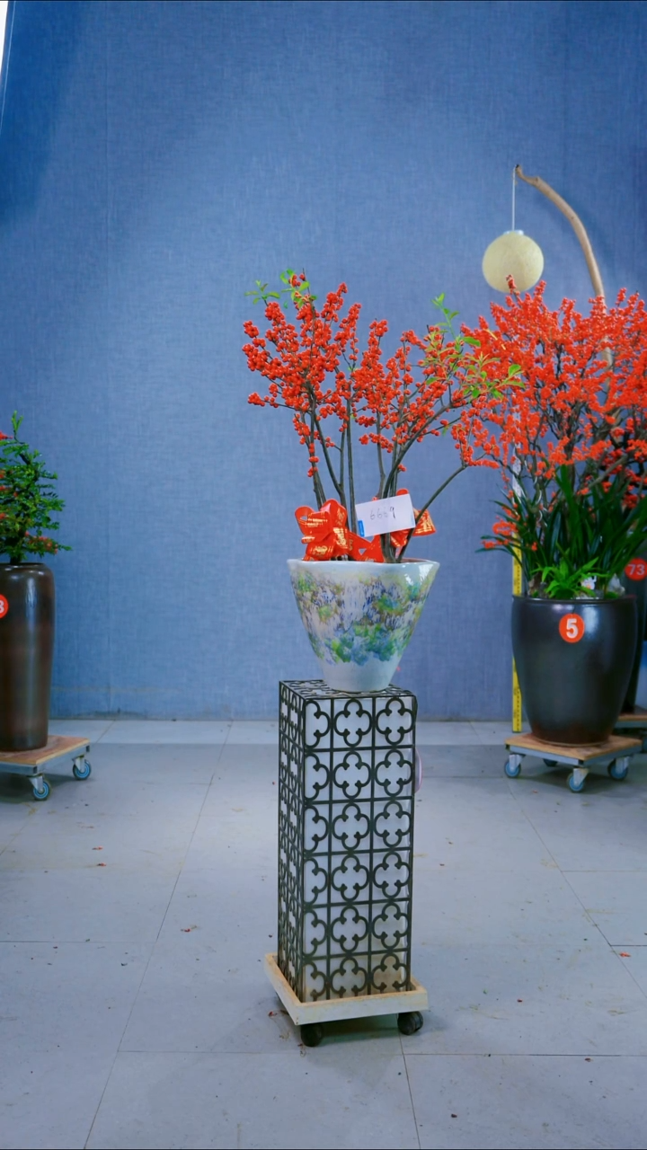 无花朵2**46609号盆链接