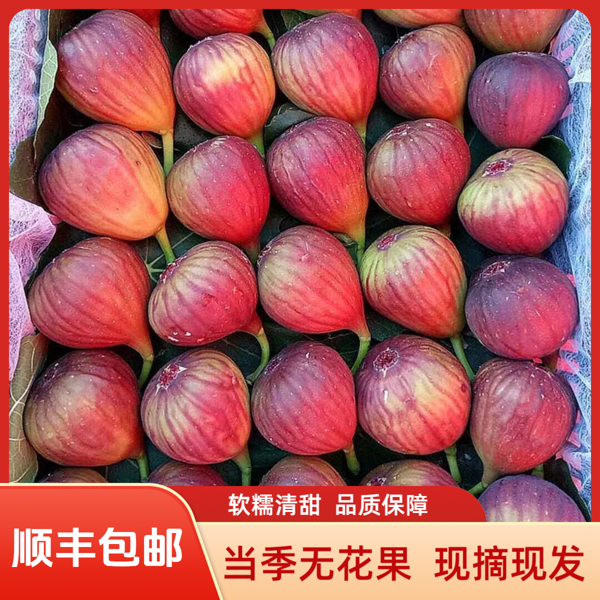 【顺丰空运】新鲜现摘无花果软糯香甜当季树熟水果孕妇水果坏果包赔