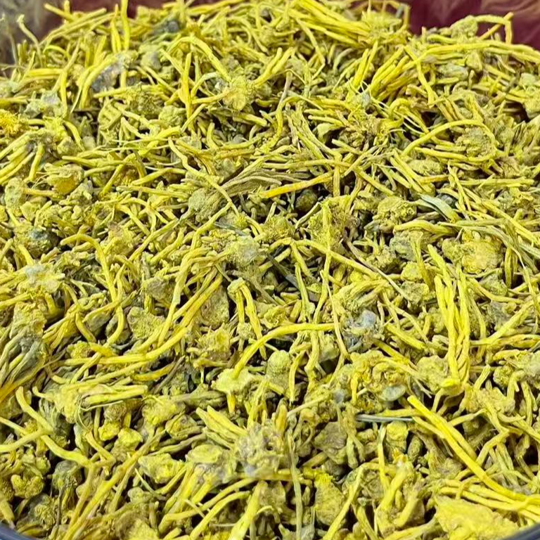 龙须石斛-黄龙草-产品以直播间为准