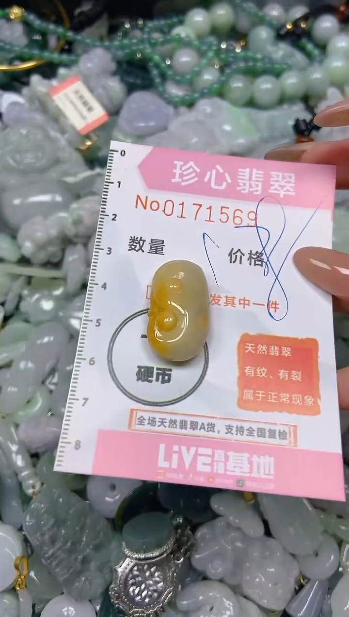 【闪购商品】翡翠颈饰未镶嵌闪购0171569