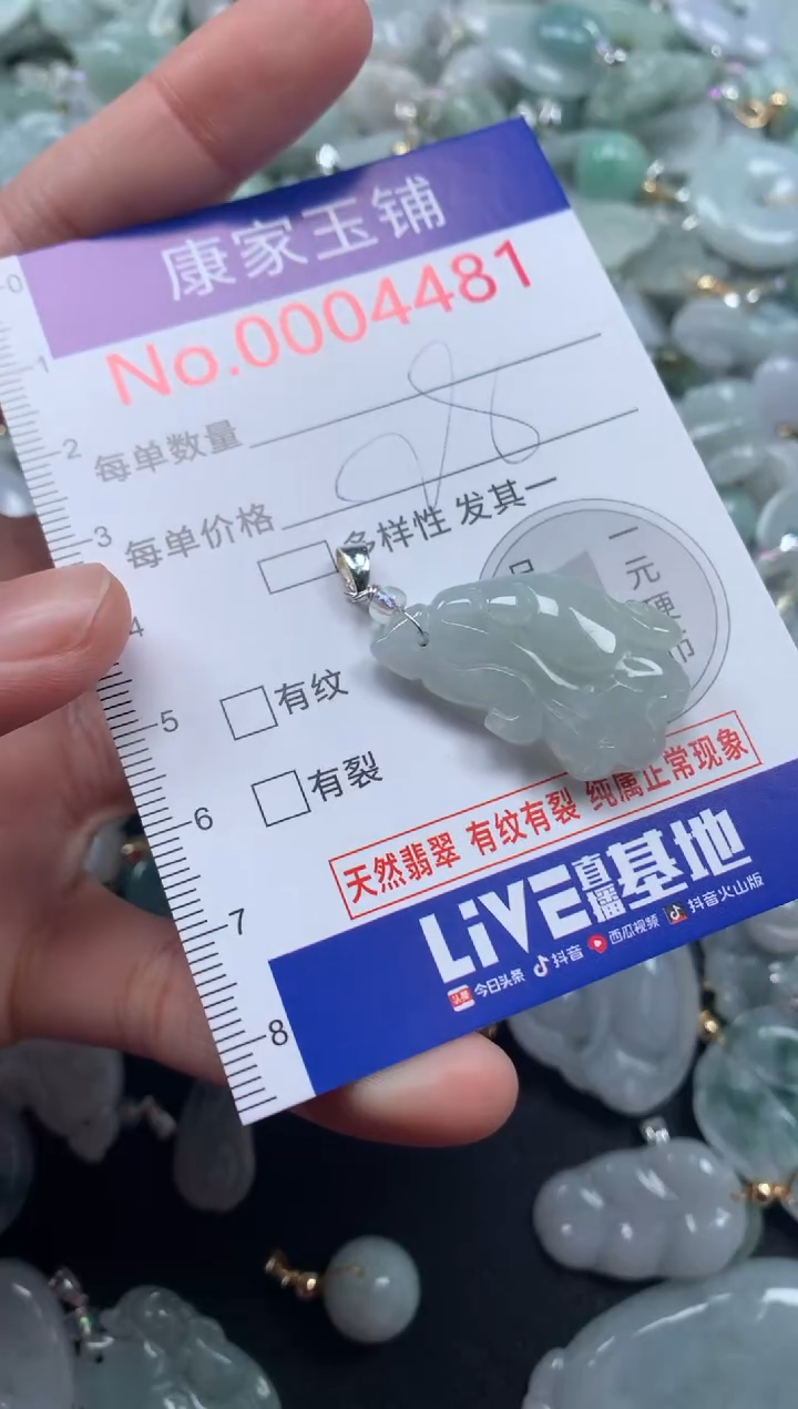 颈饰未镶嵌翡翠4481