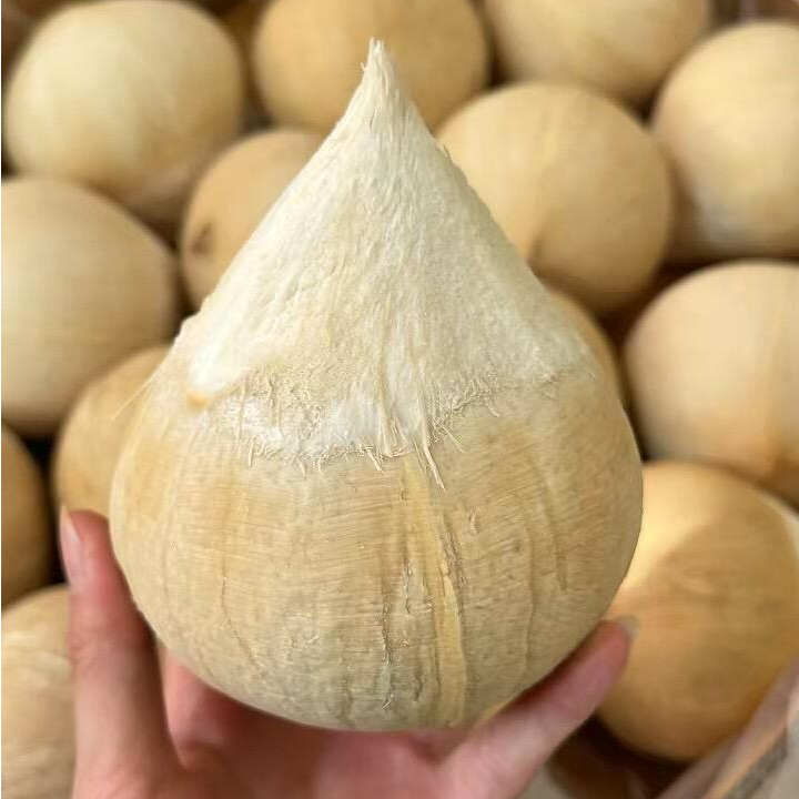 【顺丰京东空运】海南三亚泰国椰皇奶椰新鲜应季直发大果爆甜汁多