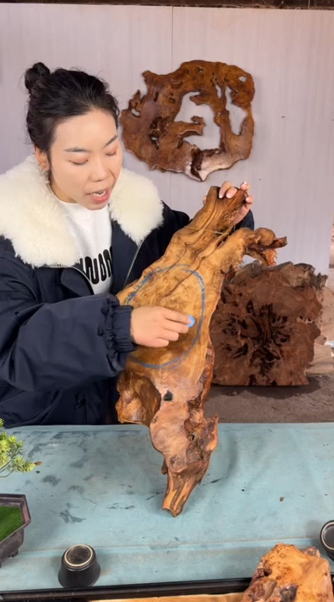 【闪购商品】香杉木木艺杉木瘤随型【原料】014