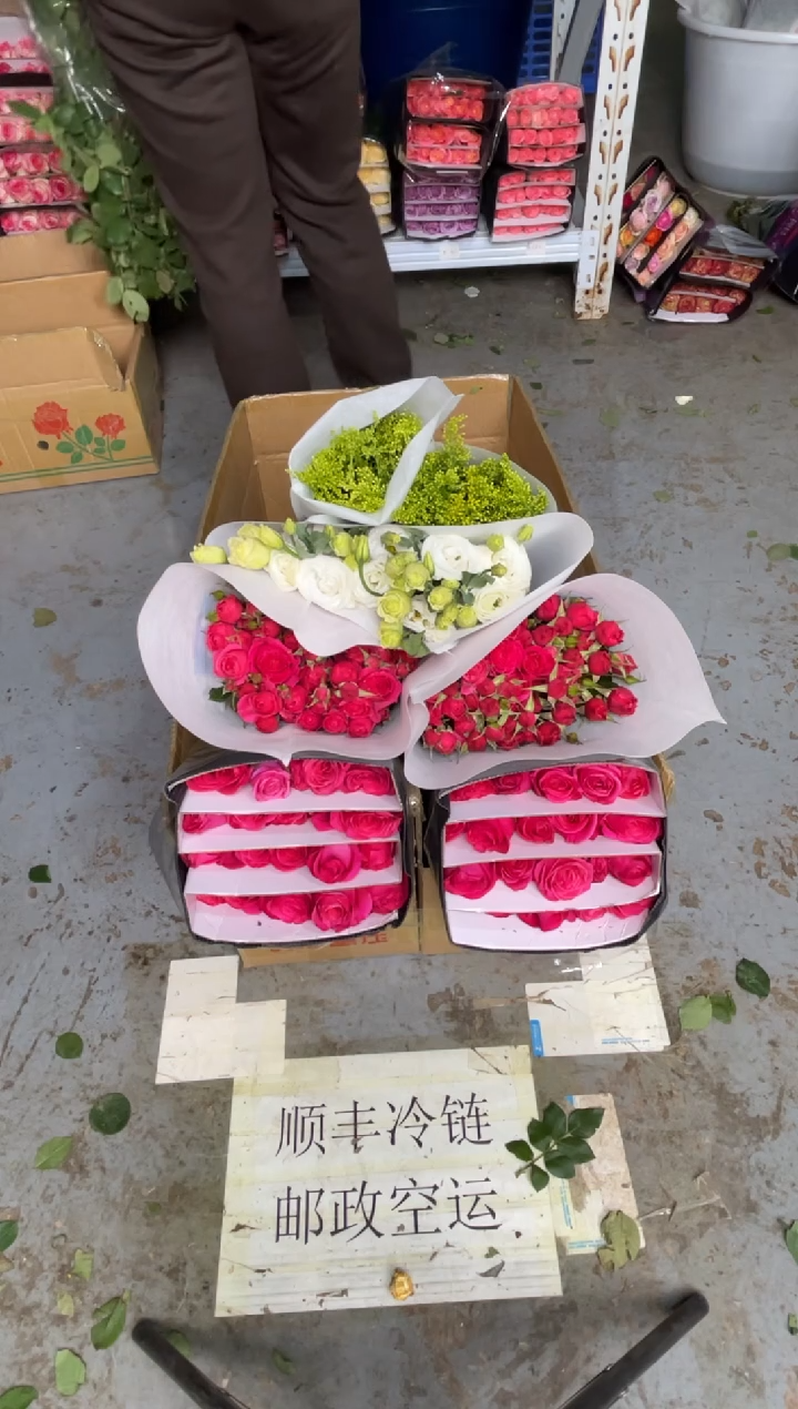 佛洛依德20枝+苏菲10枝+白桔梗400克+黄莺 