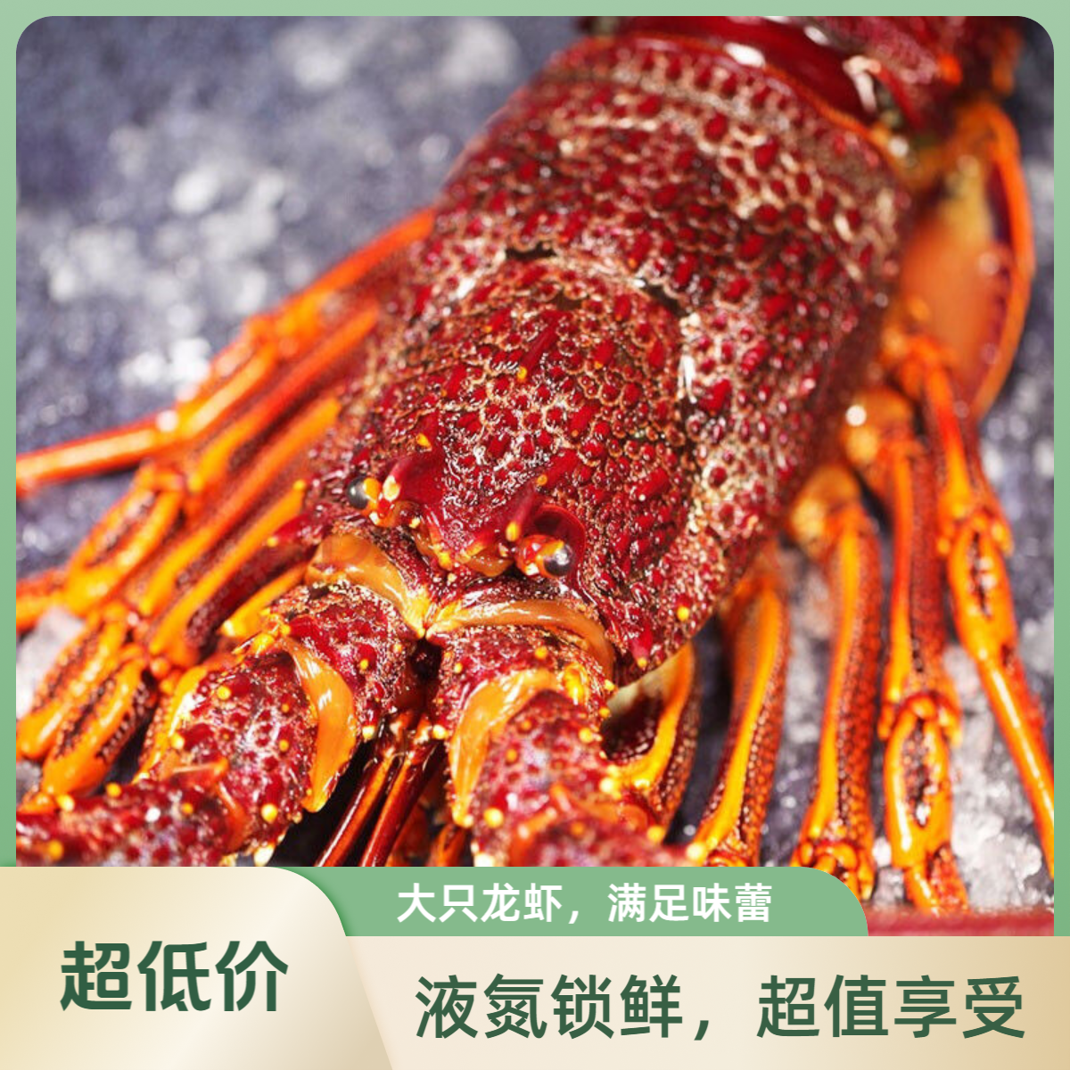 【新春】澳龙（400-600g/只）液氮冷冻/顺丰冷链次日达