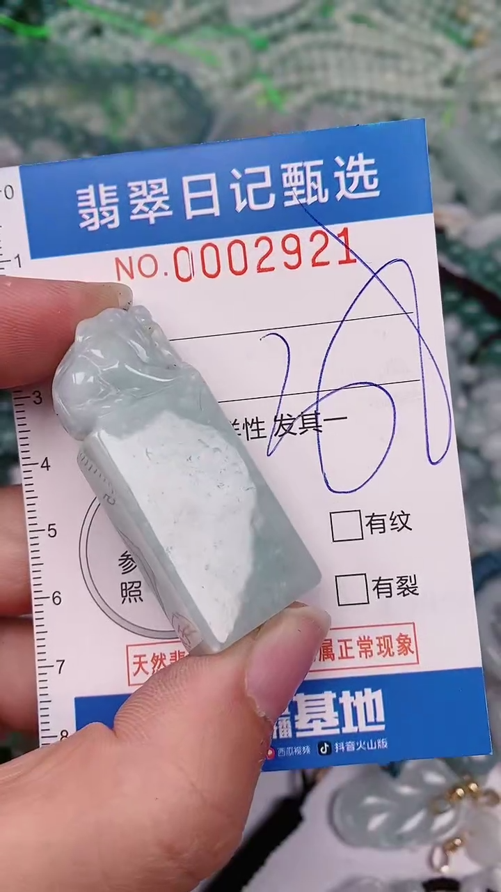 【闪购商品】翡翠颈饰未镶嵌00002921