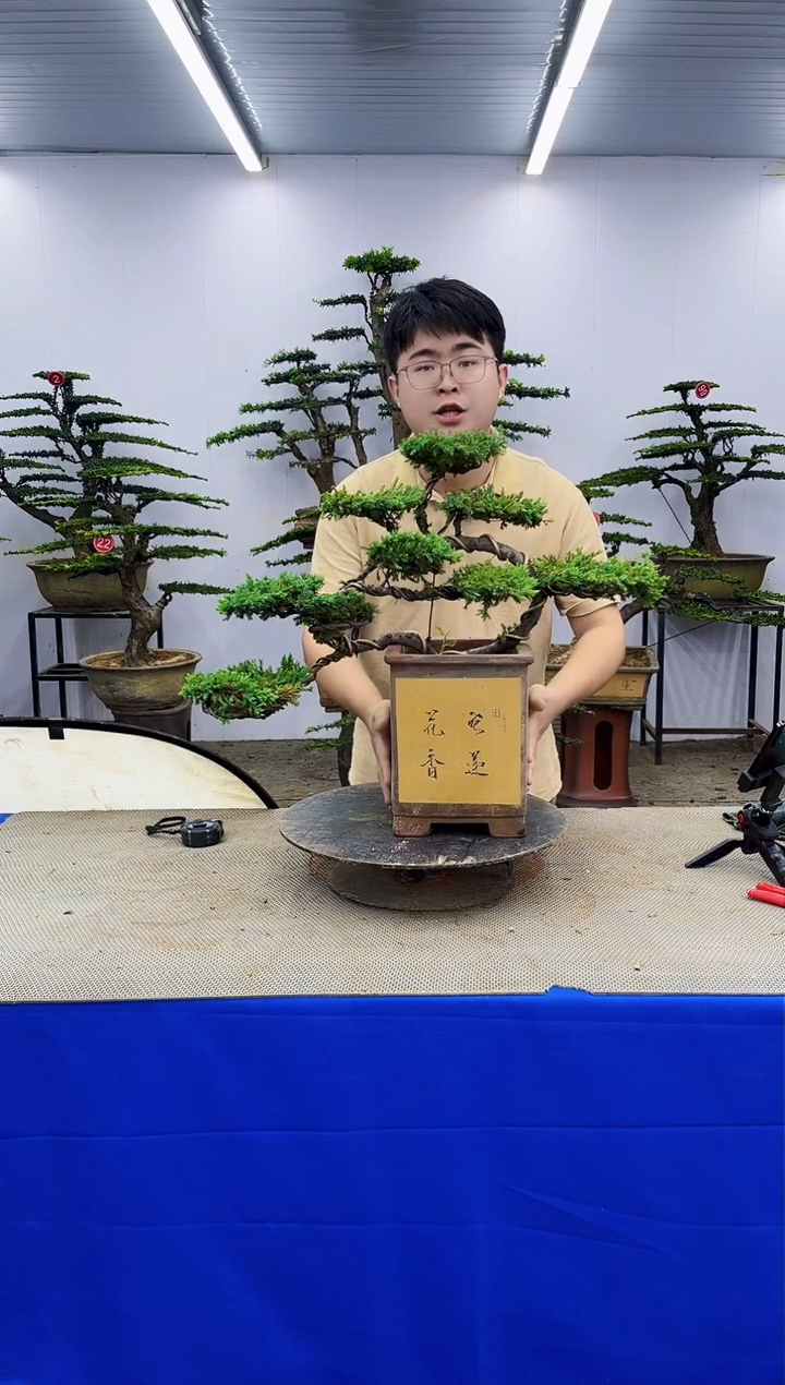 无花朵一物一拍，所见即所得