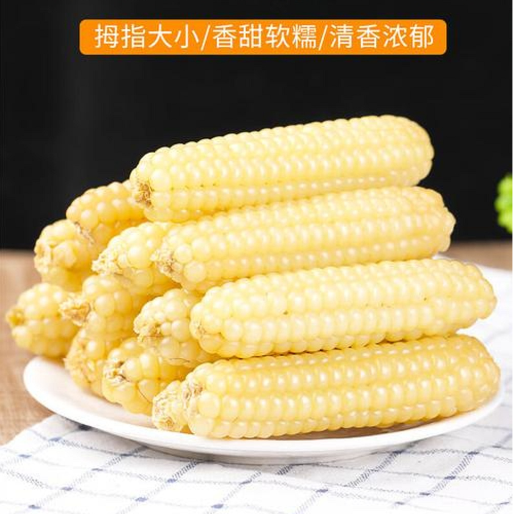 【拇指玉米】云南西双版纳特色玉米 香甜软糯 营养代餐 低脂高碳