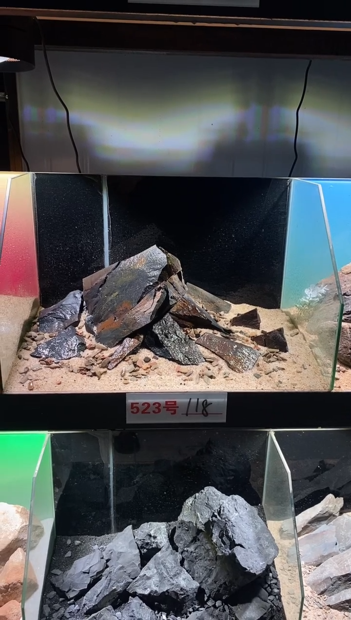 523号鱼缸造景（不含底砂）
