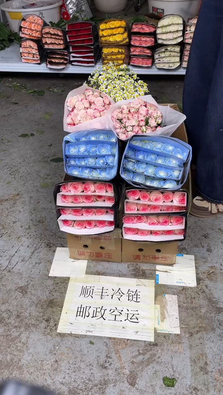 艾沙20枝+碎冰蓝20枝+折射10枝+洋甘菊