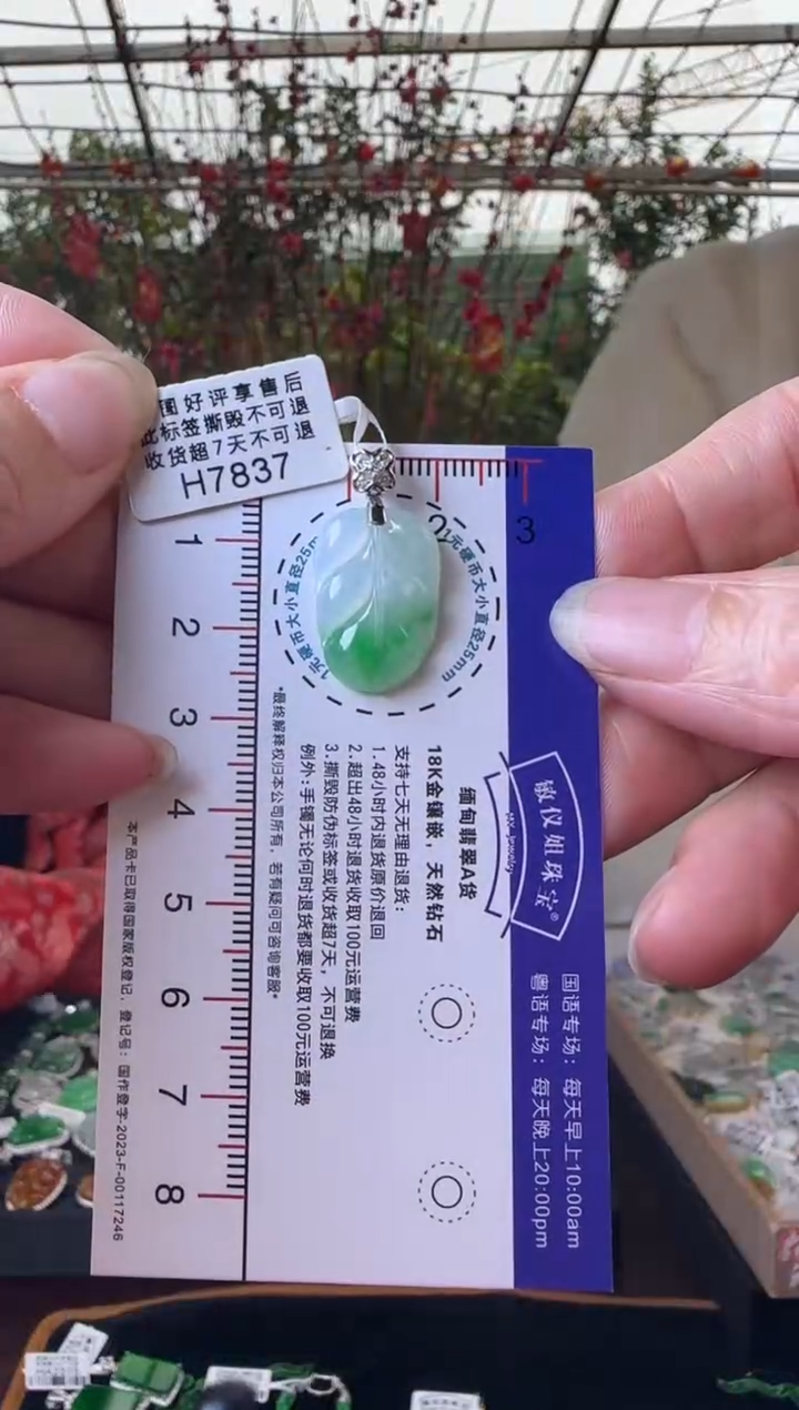 【闪购商品】翡翠颈饰18K金镶嵌H7837冰飘绿叶子