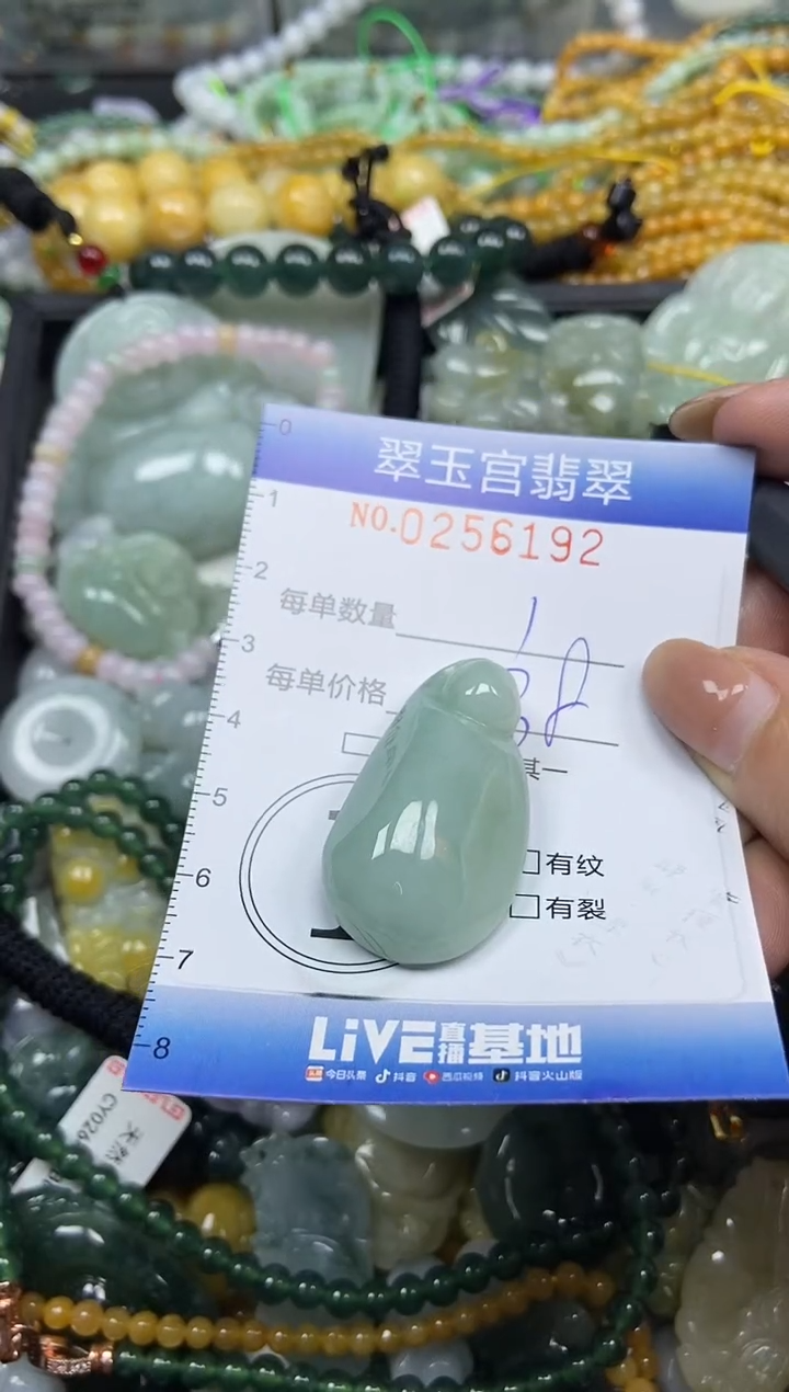 颈饰未镶嵌翡翠闪购C0256192