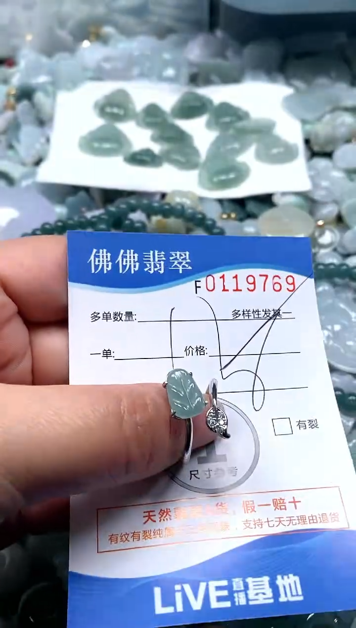 【闪购商品】翡翠颈饰未镶嵌闪购商品0119769