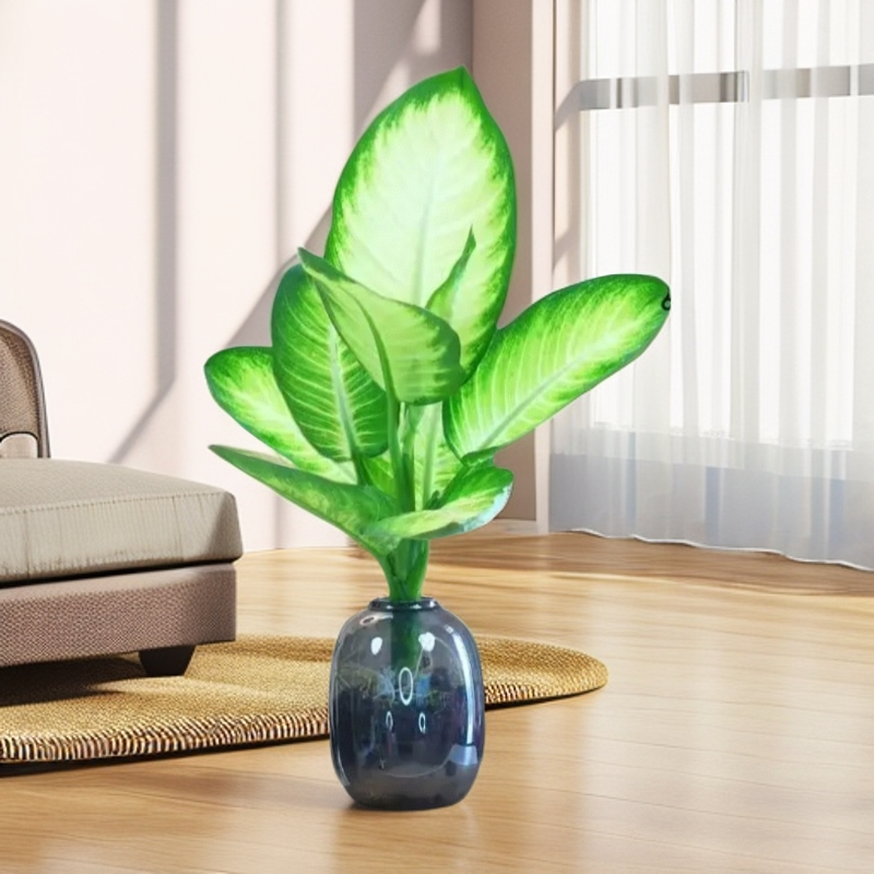 【玛丽安水培植物】万年青盆栽富贵竹室内大叶网红绿植高级感好招财