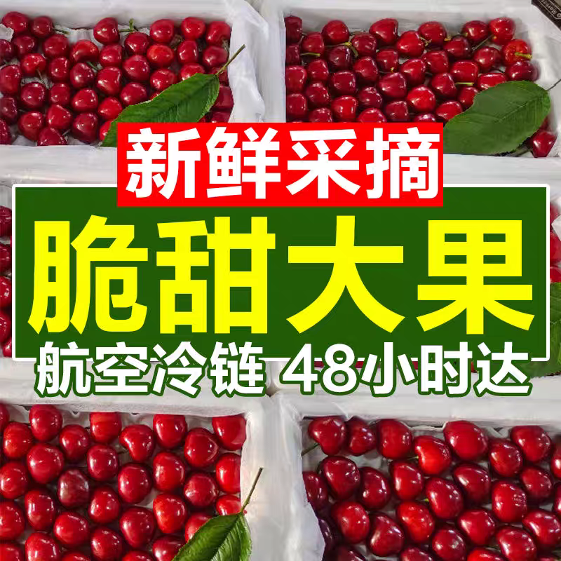 【航空冷链】zm酸甜山东烟台红灯大樱桃现摘2-5斤车厘子新鲜水果