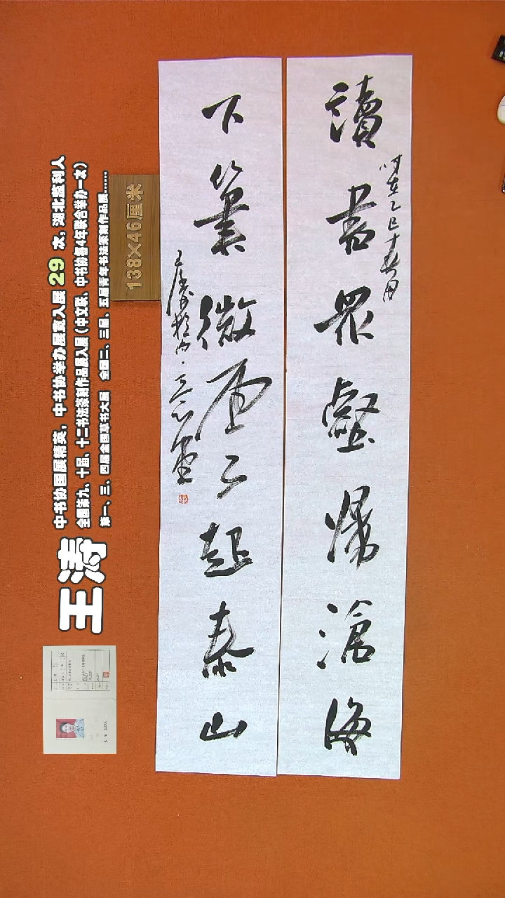 【闪购商品】书法347王涛书法作品