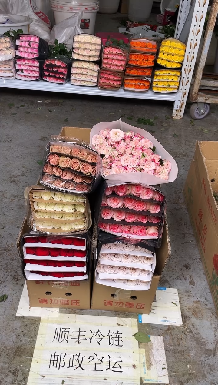 曼塔4+高原红3+骄傲2+艾沙2+卡布2+橙色芭比+折射+尤加利2