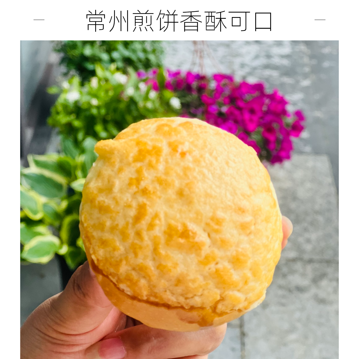 （0添加 6个装）港式菠萝包+奶黄芝士包