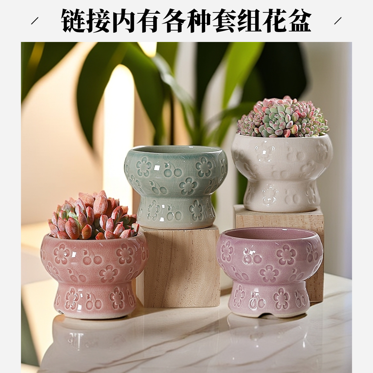 套组组合多肉花盆马槽盆拇指盆高桩老桩四方盆缺口盆动物盆大口径