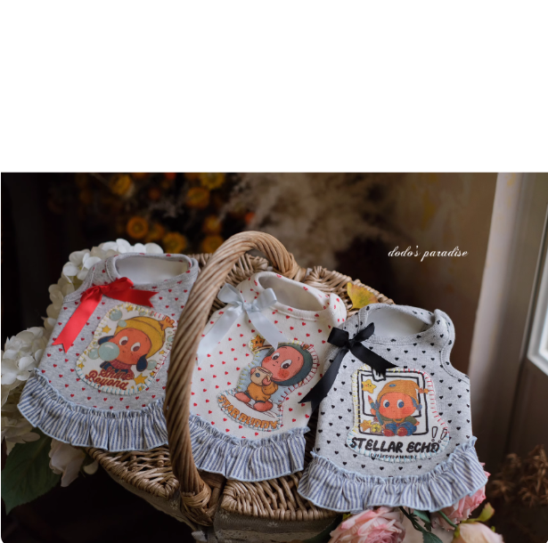 新款秋冬宠物猫狗衣服小型犬泰迪约克夏小马卡通加绒花边家居服