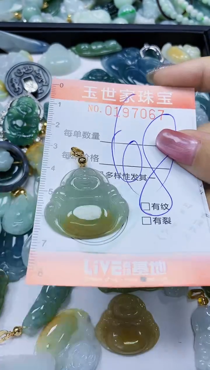 【闪购商品】翡翠颈饰未镶嵌闪购0197067