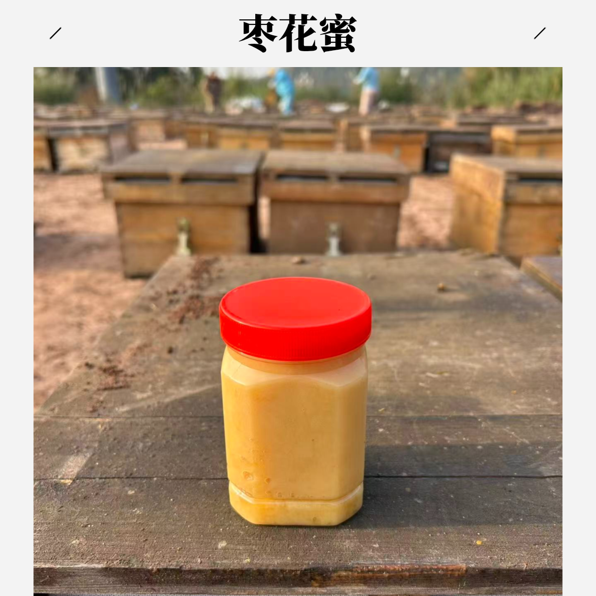 自产自销天然野生农家新疆沙枣蜜支持检测假一赔土蜂蜜十野生蜂蜜