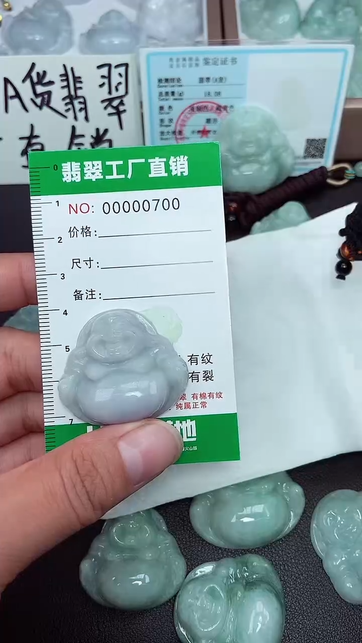 颈饰未镶嵌翡翠缅甸天然翡翠0700