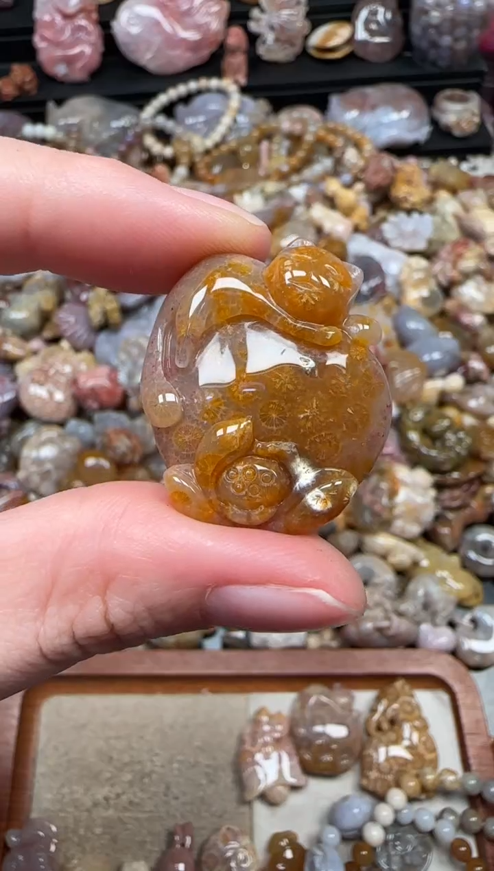 颈饰未镶嵌硅化珊瑚（珊瑚玉）654