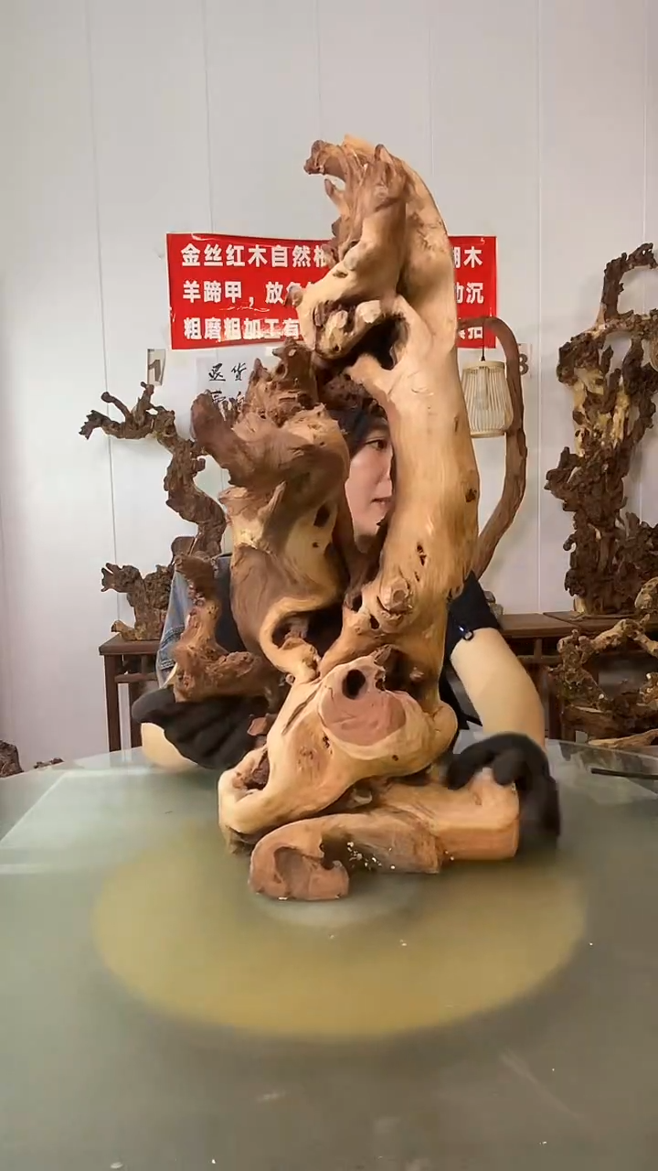 香榧木無*金丝红木 羊蹄甲