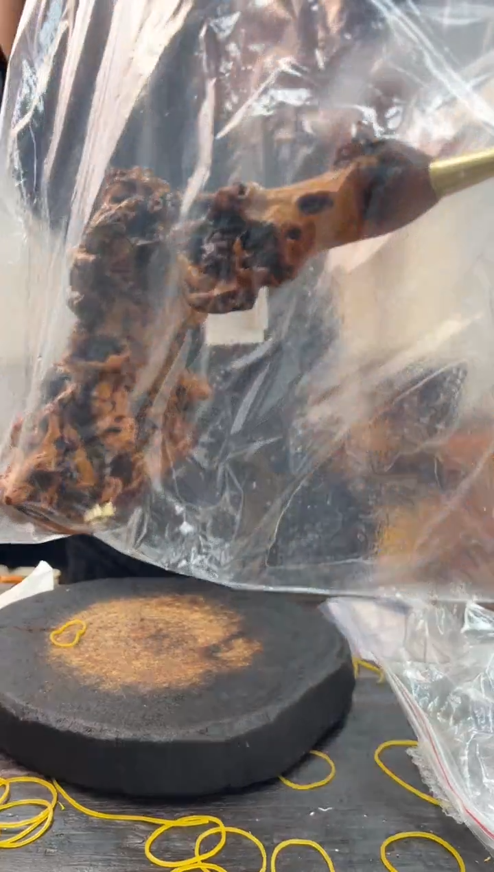 黑果木其他黑果木447