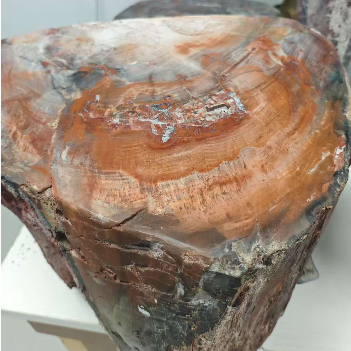 新疆木化石奇石原石摆件