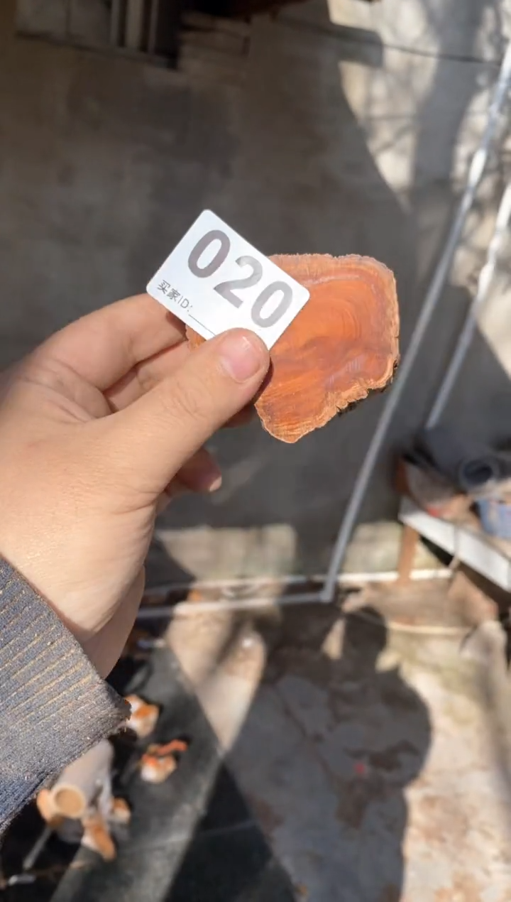 【闪购商品】柏木太行陈化崖柏（津诚林）切片