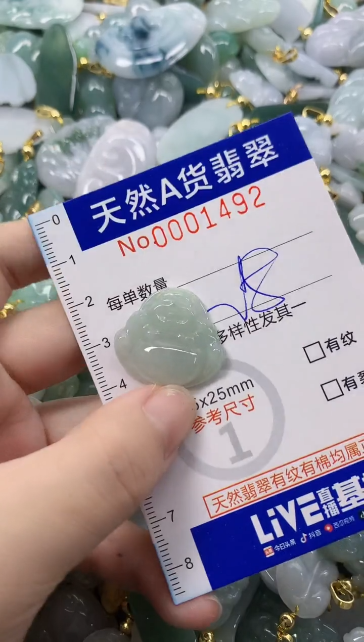 颈饰未镶嵌翡翠天然A货翡翠