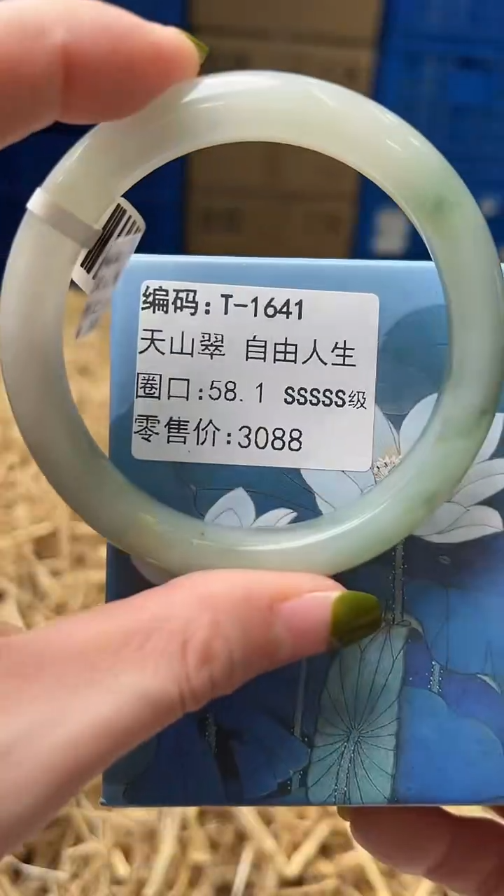 未镶嵌手镯石英质玉T1641