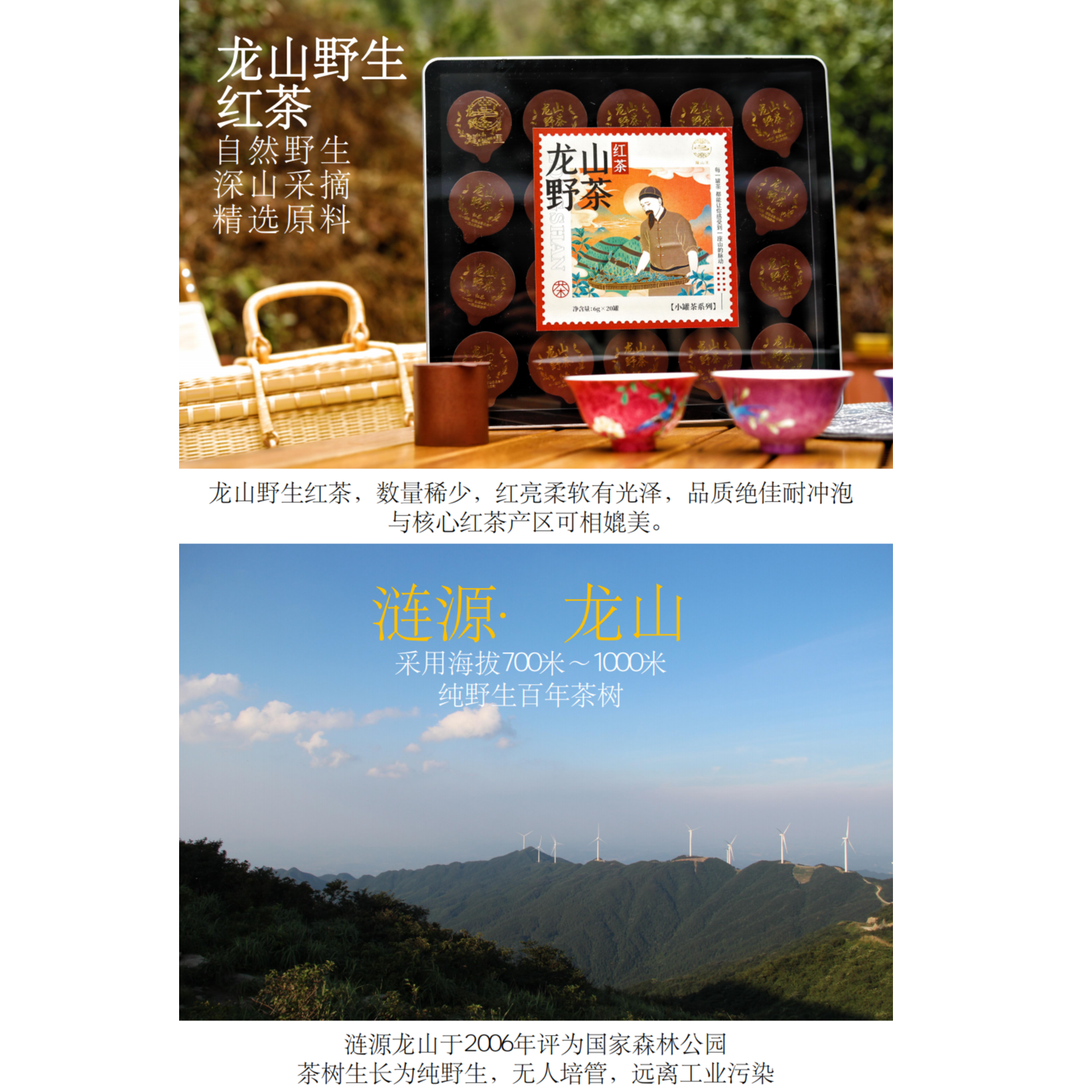 龙山野生红茶（小罐茶）