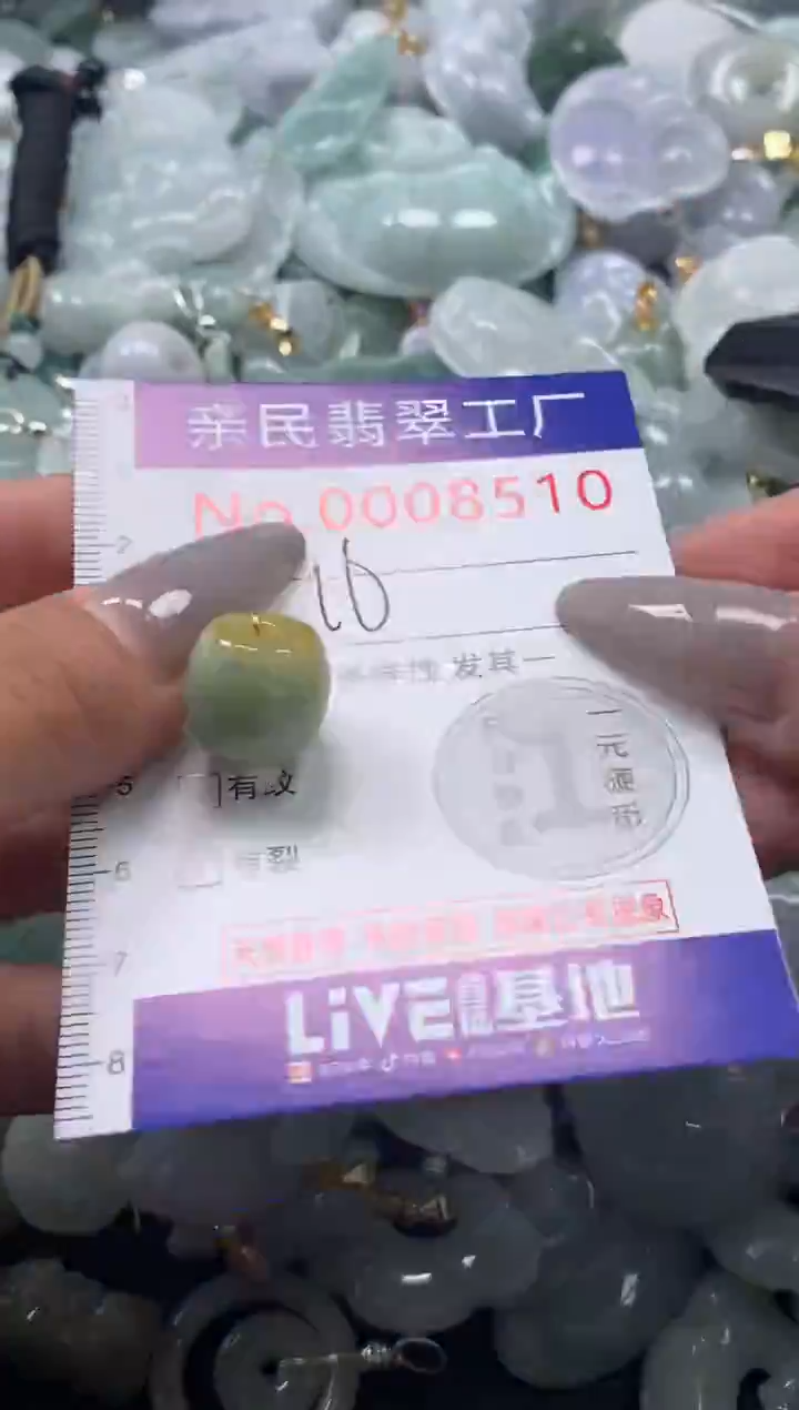 颈饰未镶嵌翡翠8510