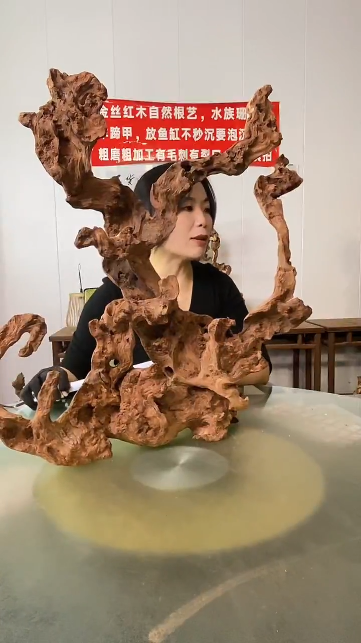 香榧木飞**丝金丝红木 羊蹄甲