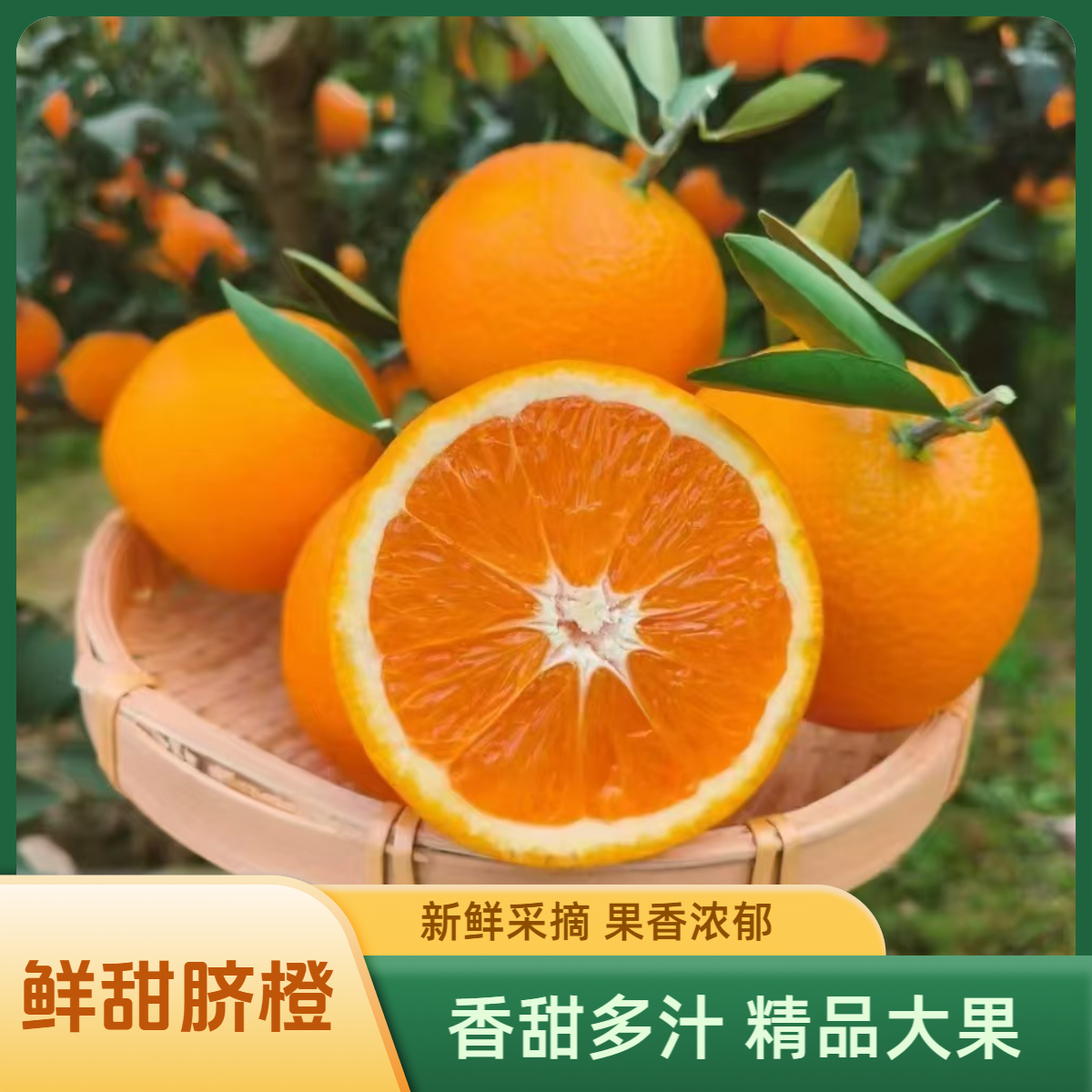 正宗高山脐橙纽荷尔脐橙现摘现发赣南脐橙
