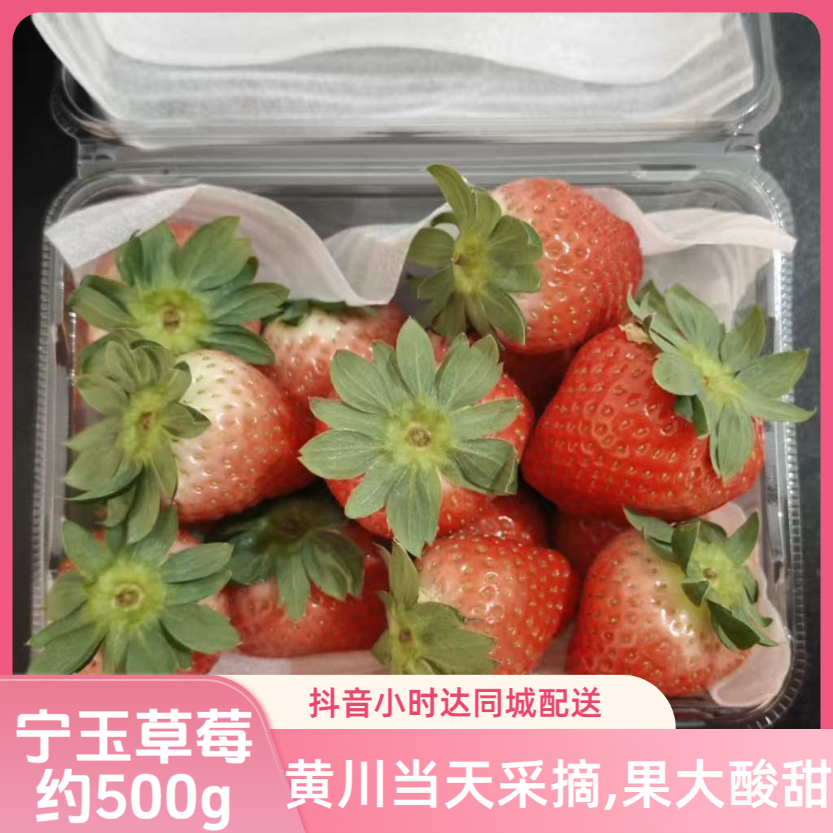 黄川草莓宁玉品种新鲜现摘一盒约500g配送费补贴海州区同城小时达江苏省