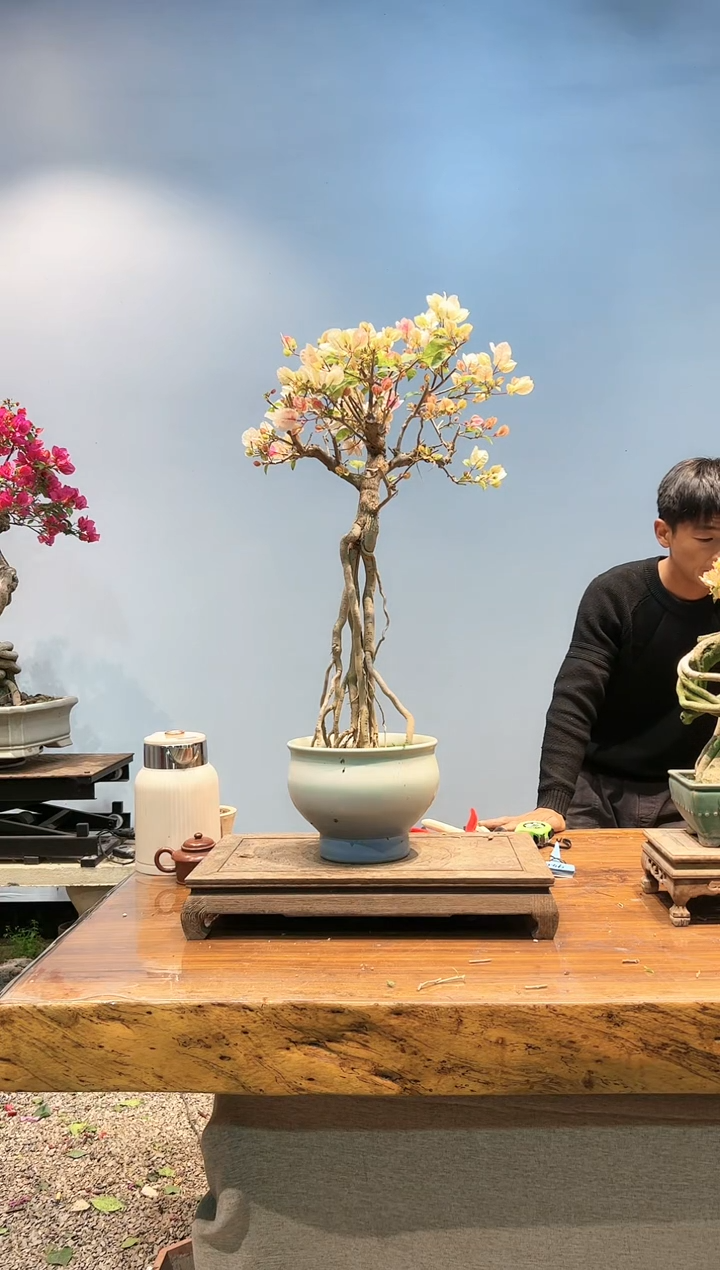 【闪购商品】AAA931