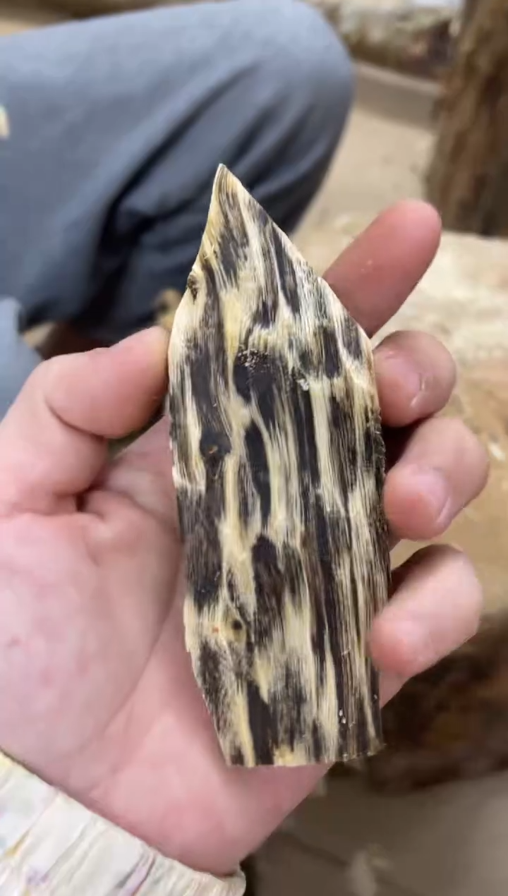 沉香沉香碎屑棋楠沉香 原料文创1