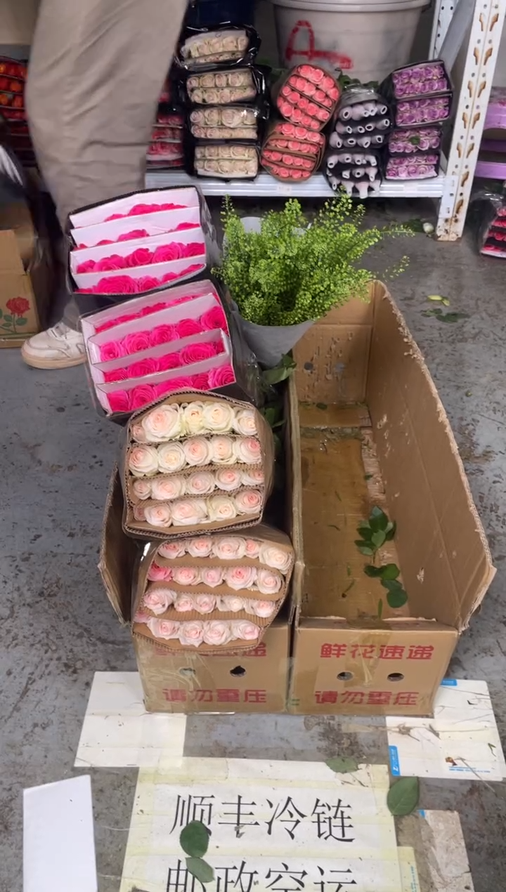 小白兔2扎+佛洛依德2扎+粉红2扎+绿林草