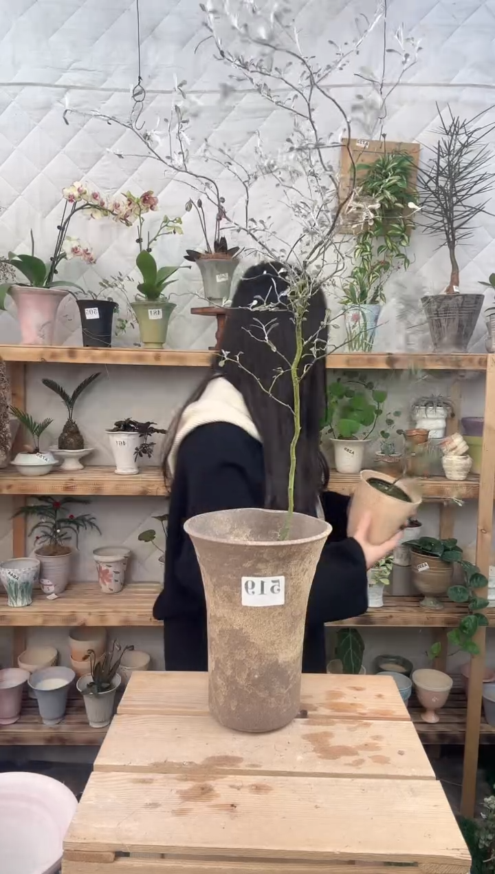 无花朵519铁丝网加盆一套