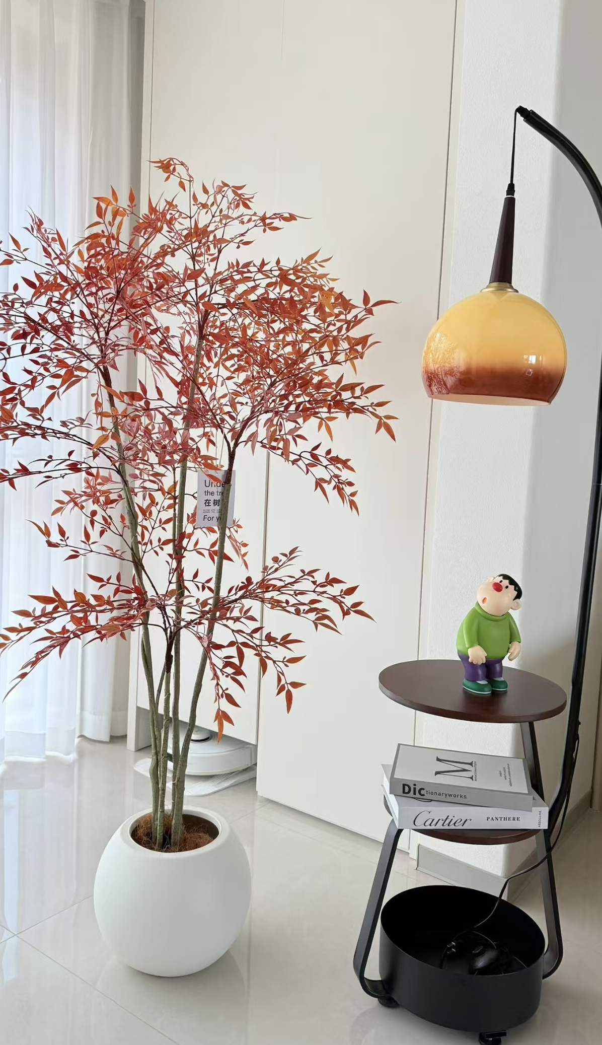 南天竹盆栽树苗室内外耐寒竹子花卉绿植直播基地批发