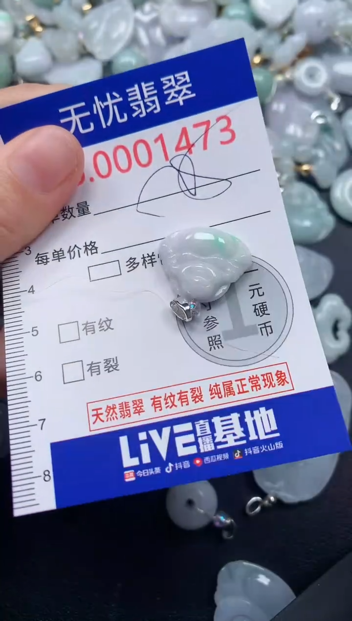 颈饰未镶嵌翡翠1473