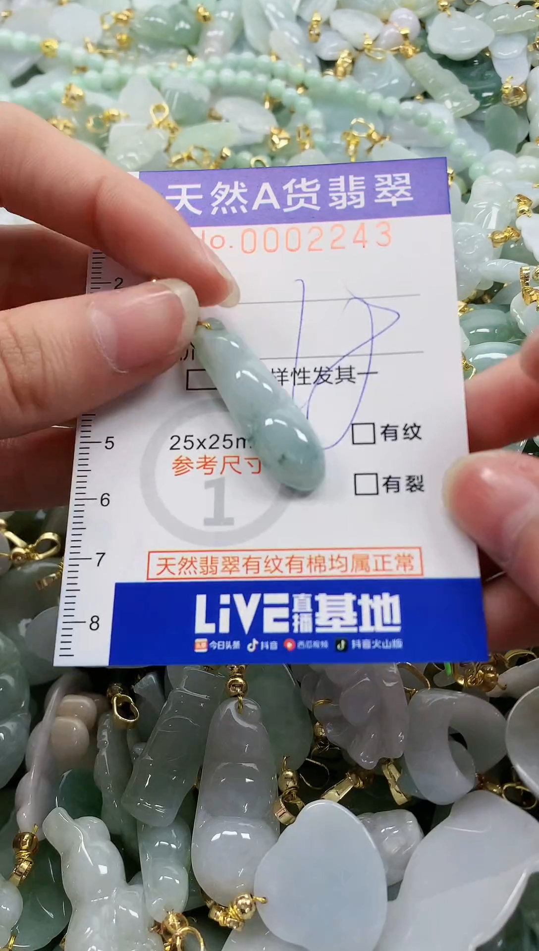 颈饰未镶嵌翡翠纯天然a货翡翠