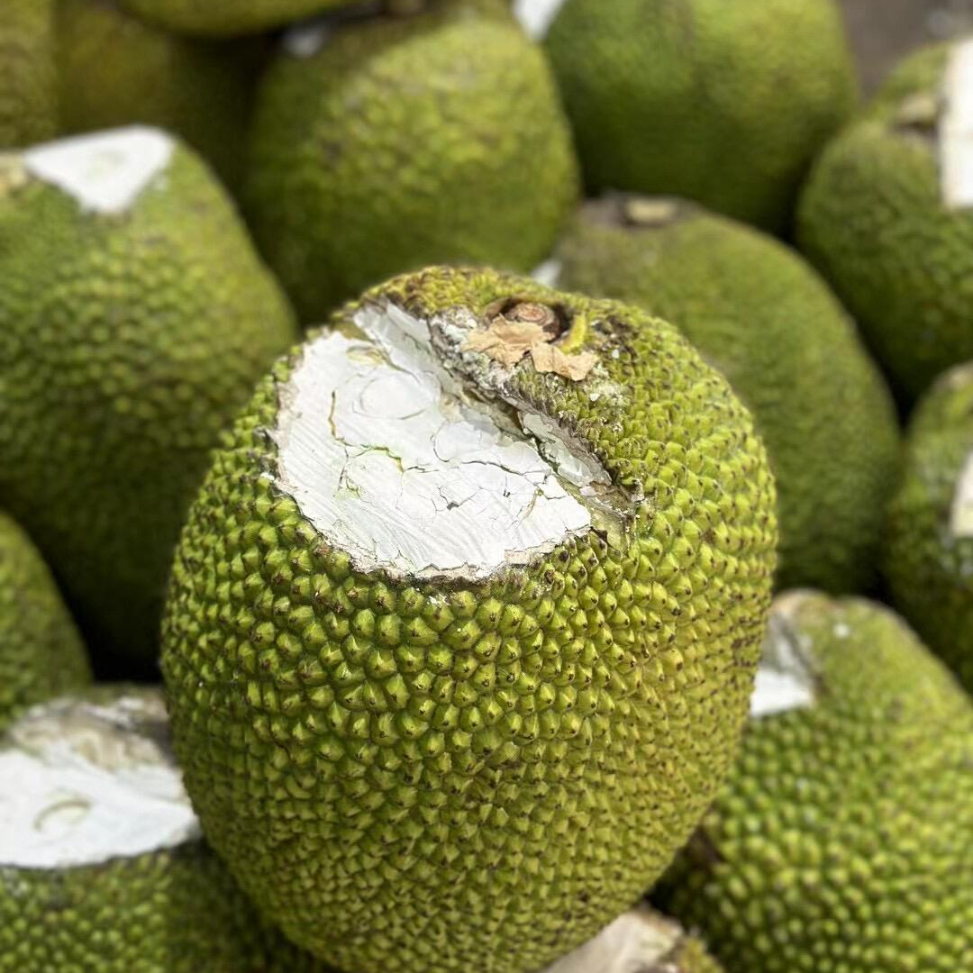 越南进口一整个干苞脆甜菠萝蜜【黄色果肉】现货现发顺丰包邮