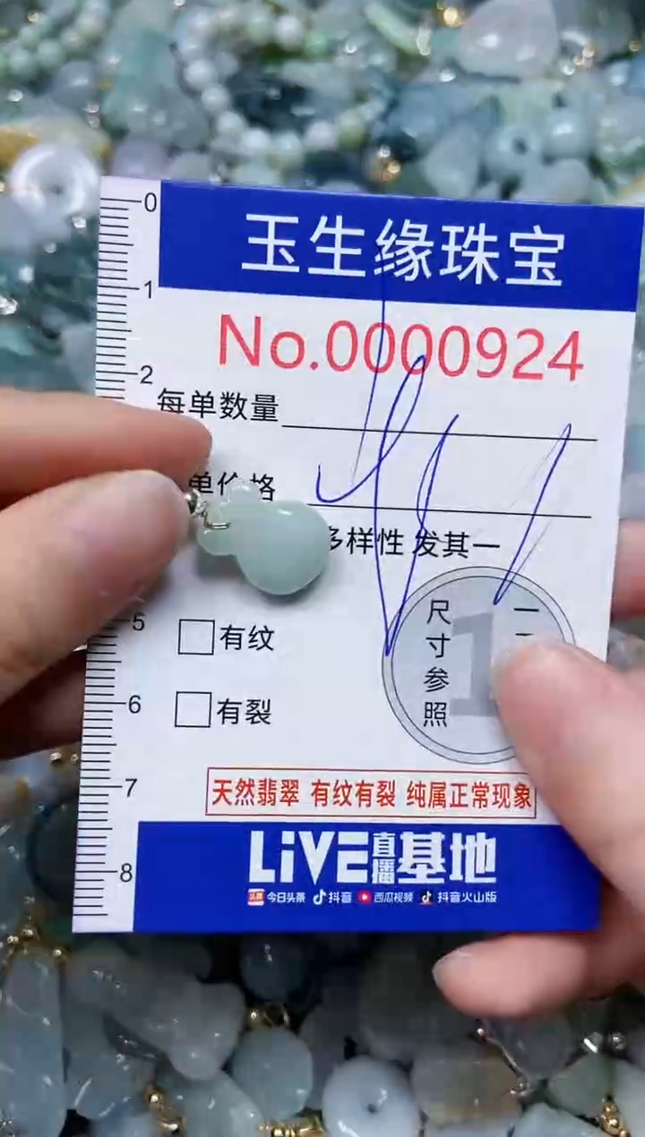 【闪购商品】翡翠颈饰未镶嵌闪购0000924